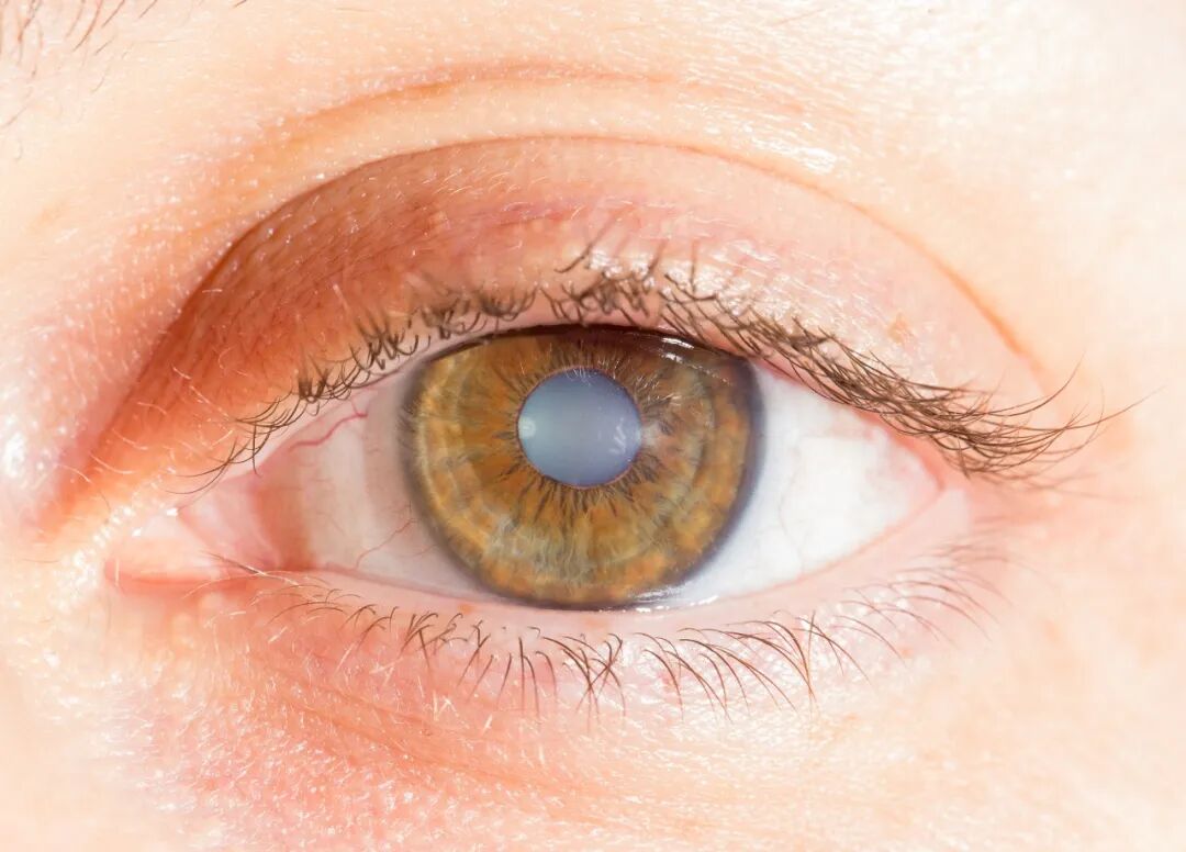 微信图片_20251016101802.jpg