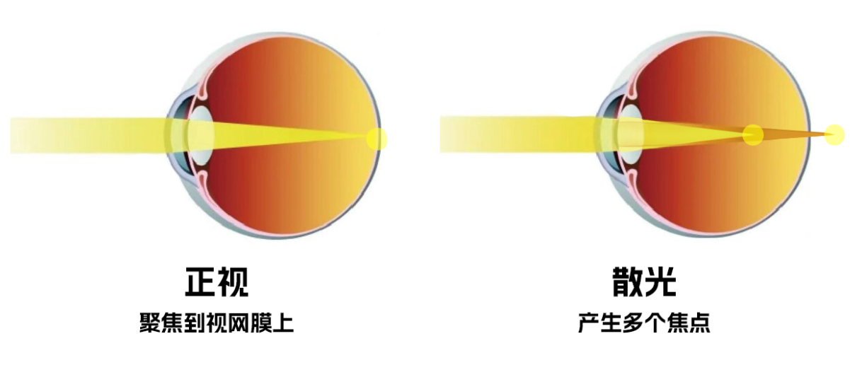 微信图片_20260306093120.png