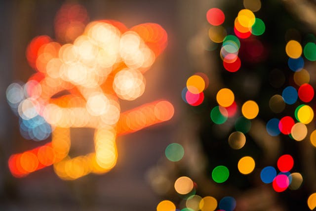 pexels-ifreestock-688574.jpg